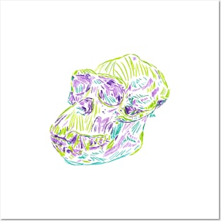 2021 03 skulls chimp Posters and Art